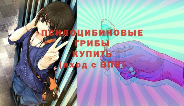 твердый Арсеньев