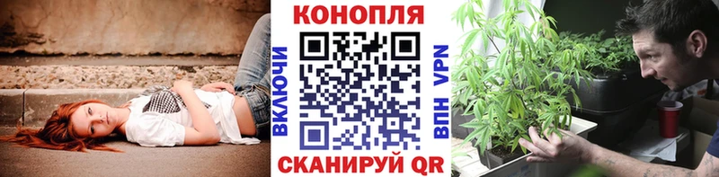 купить наркотик  hydra рабочий сайт  Шишки марихуана White Widow  Талдом 